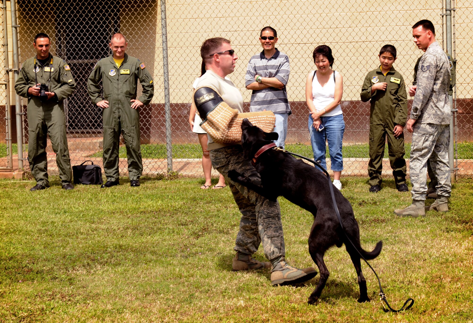 Cody Sugai and his family watch as Staff Sgt. Larry Harris, Military Working Dog Handler with the 647th Security Forces Squadron, gets attacked by Aaron, MWD with the 647 SFS, during a roleplay scenario June 10. Cody Sugai is this quarters "Pilot for a Day".  Cody is recovering from strokes caused by arteriovenous malformation and was nominated as the PFAD by Kapi'olani Medical Center in partnership with the 15th Wing. (U.S. Air Force photo/Senior Airman Lauren Main)