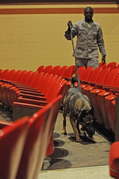 A military working dog searches the base theater during an exercise with handler Senior Airman Taylor Bolden, 2nd Security Forces Squadron, on Barksdale Air Force Base, La., June 14. The working dogs, like their handlers, train regularly to sharpen and hone their skills. (U.S. Air Force photo/Airman 1st Class Micaiah Anthony)(RELEASED)