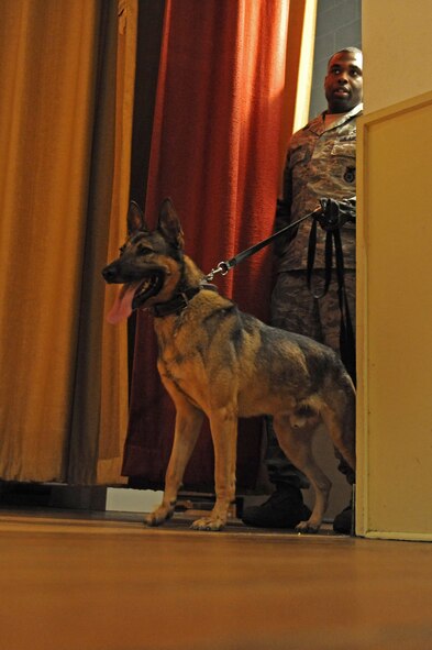 A military working dog searches the base theater with handler Senior Airman Taylor Bolden, 2nd Security Forces Squadron, during an exercise on Barksdale Air Force Base, La., June 14. The working dogs, like their handlers, train regularly to sharpen and hone their skills. Throughout history canines have been used to assist military in various capacities including fighting, logistics, detection, tracking, scouting, guarding and more recently as drug and explosive detection. (U.S. Air Force photo/Airman 1st Class Micaiah Anthony)(RELEASED)