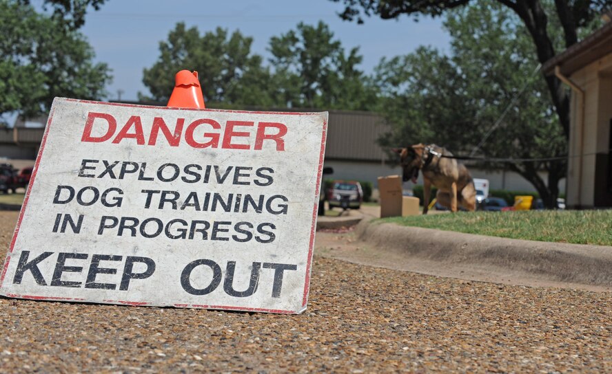 A military working dog sits next to a box to signal handler Senior Airman Taylor Bolden, 2nd Security Forces Squadron, that there is a find during an exercise outside of the base theater on Barksdale Air Force Base, La., June 14.  Throughout history canines have been used to assist military in various capacities including fighting, logistics, detection, tracking, scouting, guarding and more recently as drug and explosive detection. (U.S. Air Force photo/Airman 1st Class Micaiah Anthony)(RELEASED)