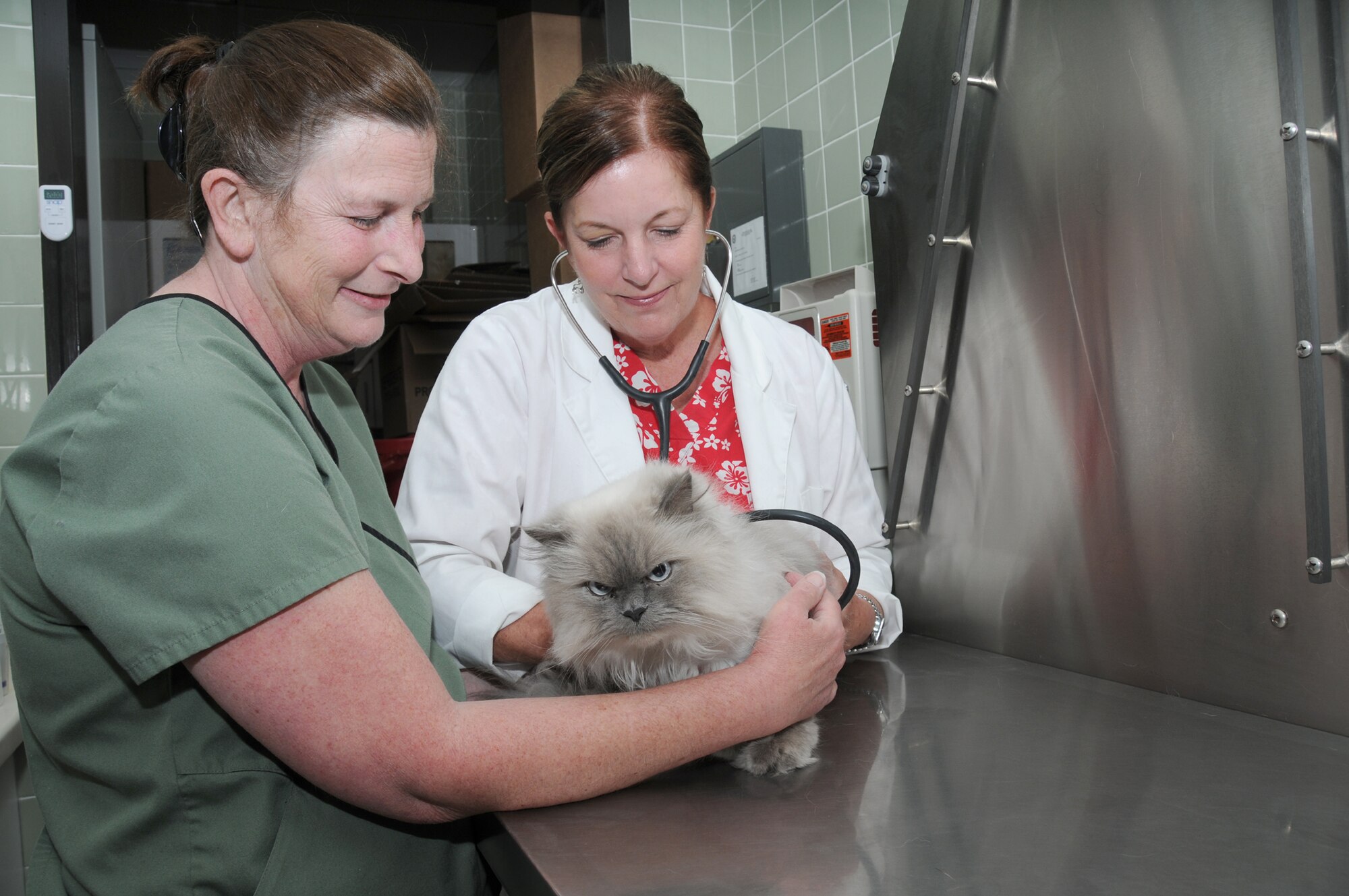 Technician JoAnn Pierce assists Dr. Anne Rogers as she evaluates the heartbeat of Kamran, a Persian cat that belongs to Tech. Sgt. Jacqueline Haro, 334th Training Squadron.  (U.S. Air Force photo by Kemberly Groue)