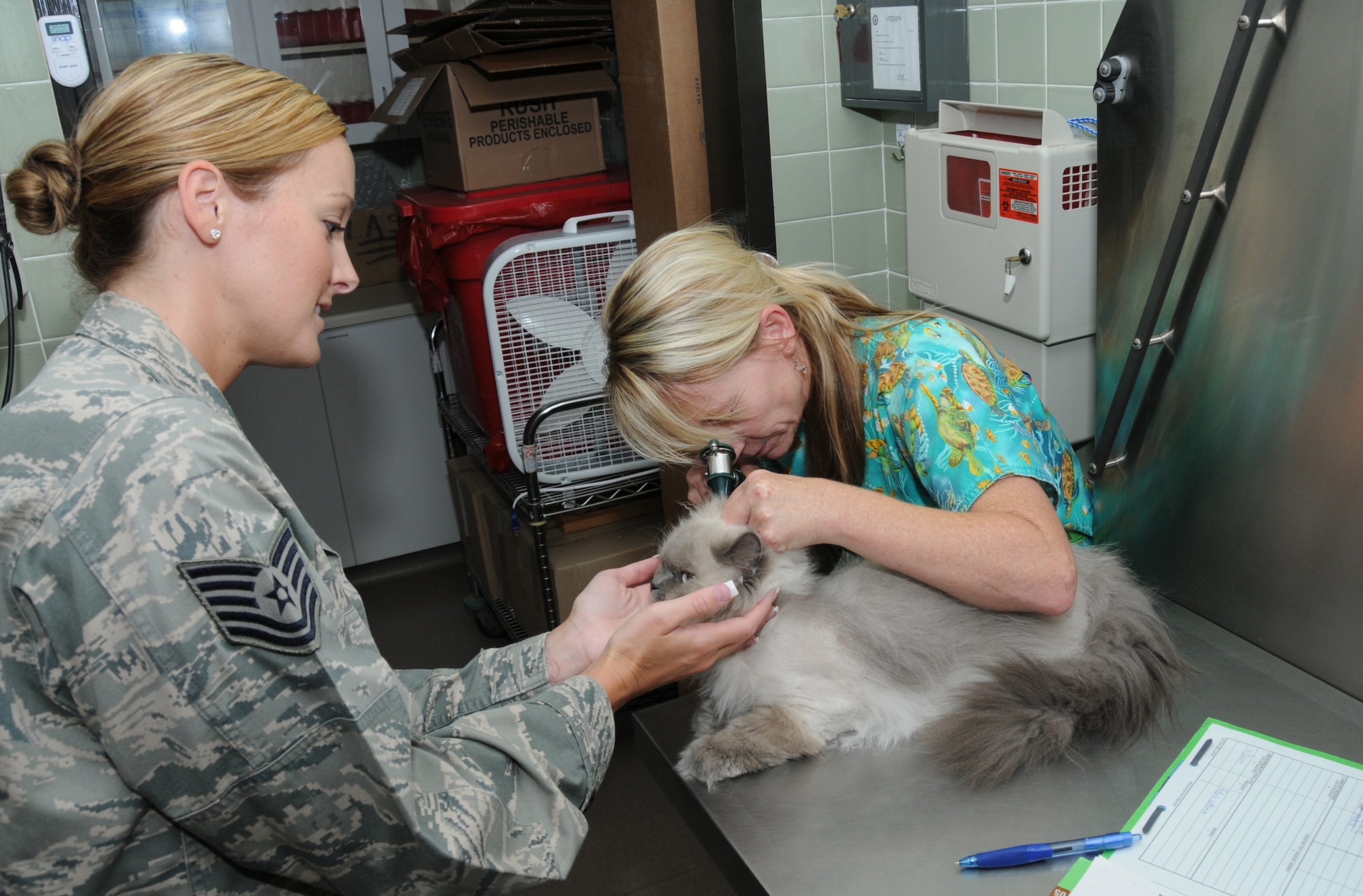 Tech. Sgt. Jaqueline Haro, left, 334th Training Squadron, comforts Kamran, a Persian cat, as Jeanne Levesque, veterinary clinic animal health technician, examines Kamran’s ears at the veterinary treatment facility.  (U.S. Air Force photo by Kemberly Groue)