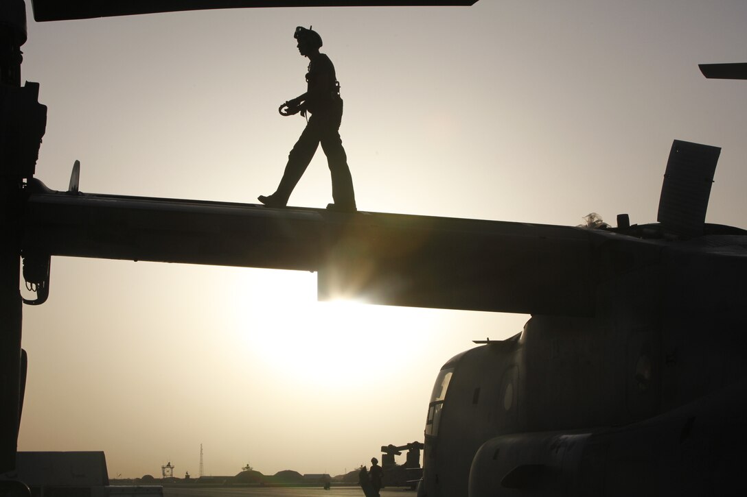 Cpl. Jeb Sayer walks atop an MV-22B Osprey while performing general maintenance in Marine Medium Tiltrotor Squadron 264’s hangar at Camp Bastion, Afghanistan, June 16. Sayer is a flightline mechanic with VMM-264 based out of Marine Corps Air Station New River, N.C.