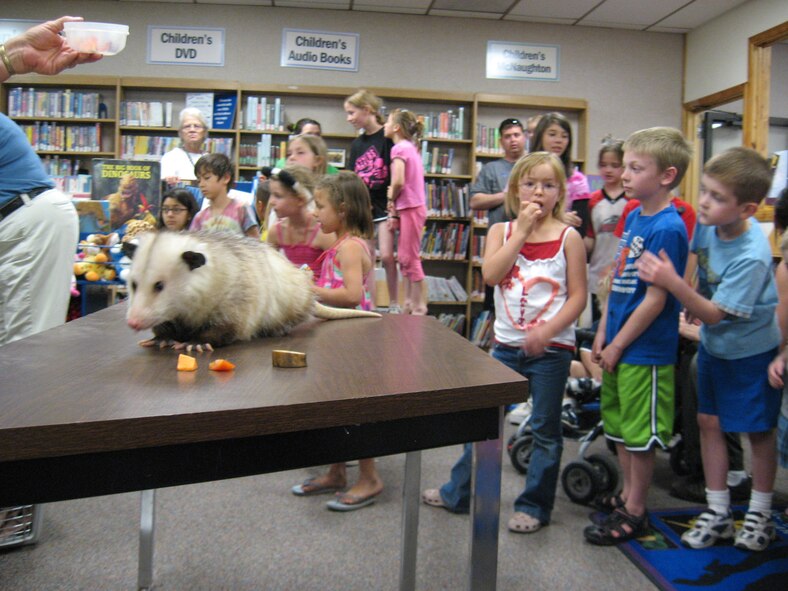 Particpants in the Kirtland Air Force Base Library’s summer reading club watch an opossum scurry around the top of a desk during an educational activity presented June 10 by volunteers from the ABQ BioPark Zoo.

Photo by Jonathan Rejent
