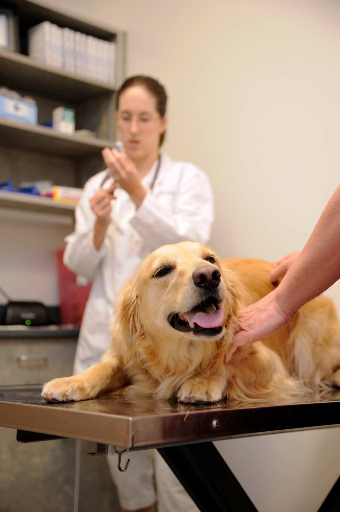 Joanne Kucker, 509th Medical Group veterinarian, prepares annual vaccinations for Ellie, Tech. Sgt. Dan Niemeyer's golden retriever, at the vet clinic here June 17, 2011. The new vet building has multiple exam rooms allowing more military family pets and military working dogs to be seen on a daily basis. (U.S. Air Force photo by Airman 1st Class Cody H. Ramirez)