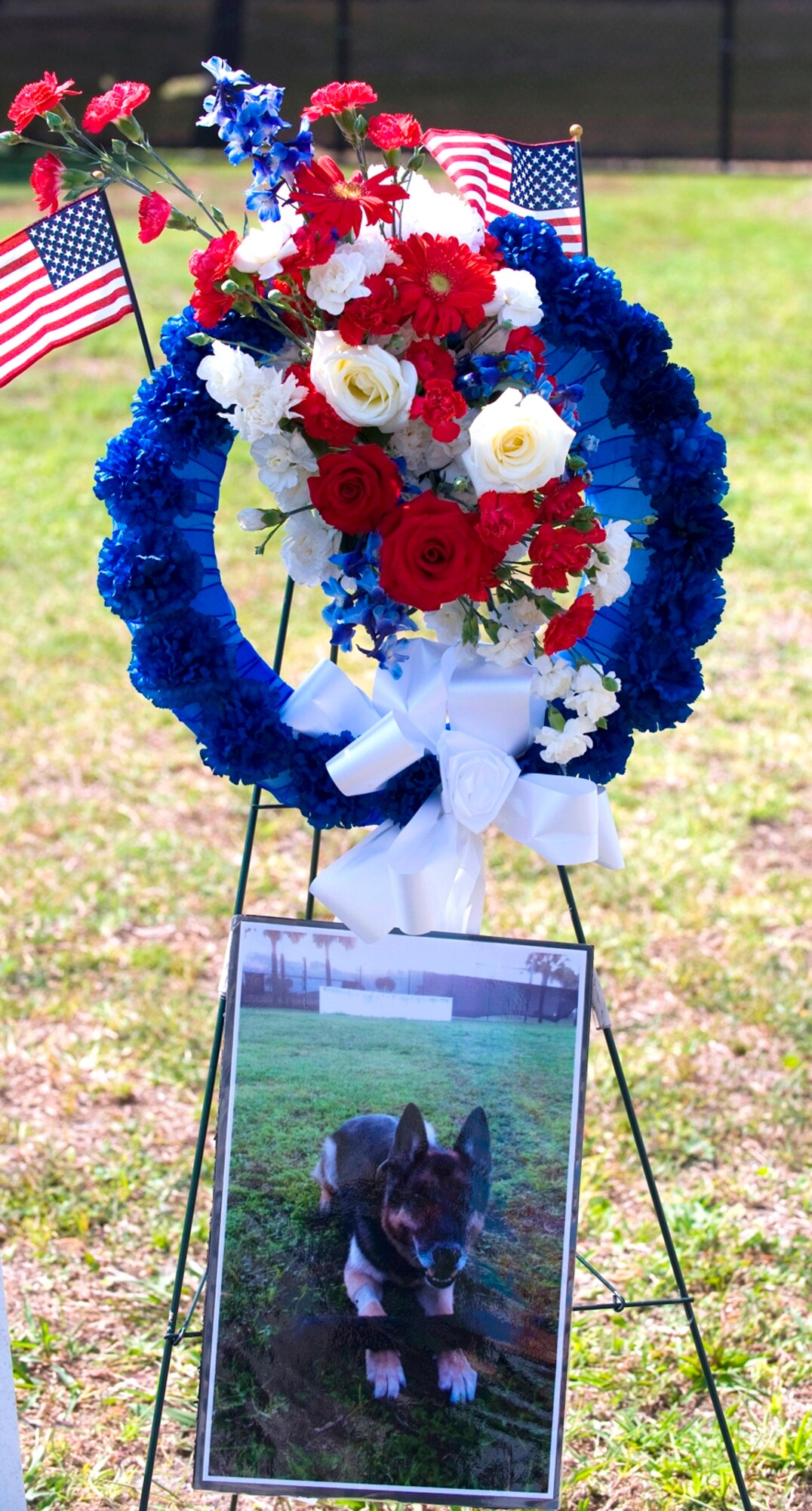 Dasty/C214, pictured, a loyal friend and Military Working Dog, died April 1 at the Patrick
AFB Vetrinary Clinic. A Memorial Service was held for Dasty on May 25 to honor Dasty and his proud service.