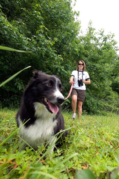 Kilo, and her handler Melody Henderson, bird/wildlife aircraft strike hazard ecologist and wildlife manager, patrol the grounds of Dover Air Force Base, Del., on June 17, 2011. Kilo and Mrs. Henderson are part of an effort by the Air Force to minimize the amount of bird strikes. (U.S. Air Force Photo/Steve Kotecki) 