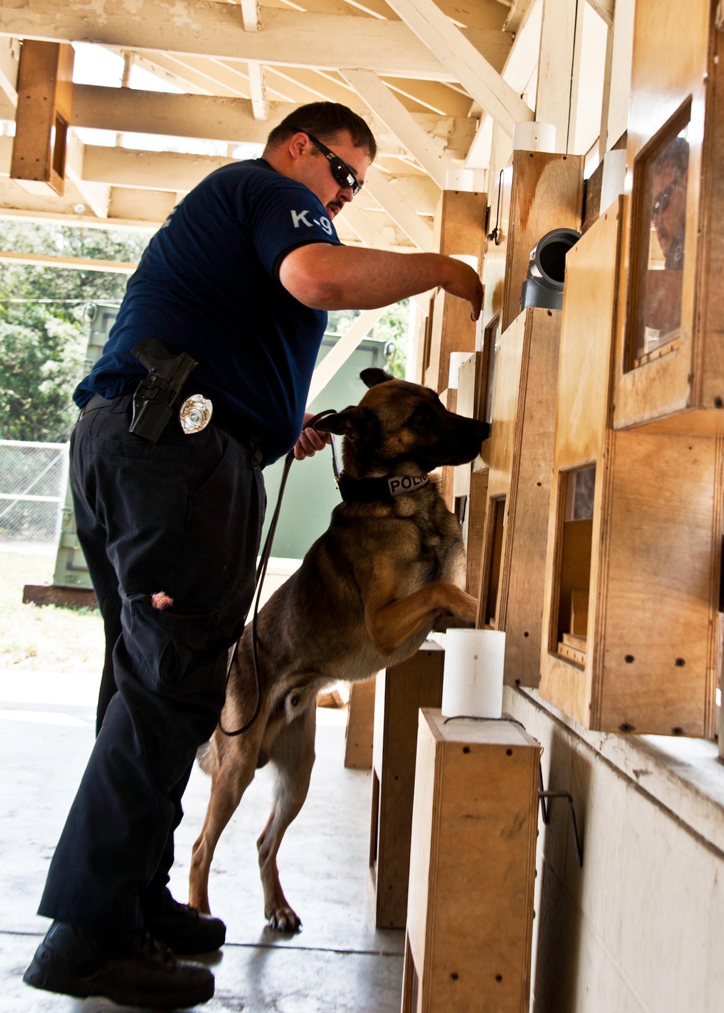 Astro searches for a scent during a detection scenario June 14 at Eglin Air Force Base, Fla.  Astro and his handler Officer Charles Pettis, Fort Walton Beach Police Department, are training with Eglin security forces military working dog handlers to become a certified K-9 team.  They are the second FWBPD K-9 team Eglin trainers have prepared for certification.  (U.S. Air Force photo/Samuel King Jr.)
