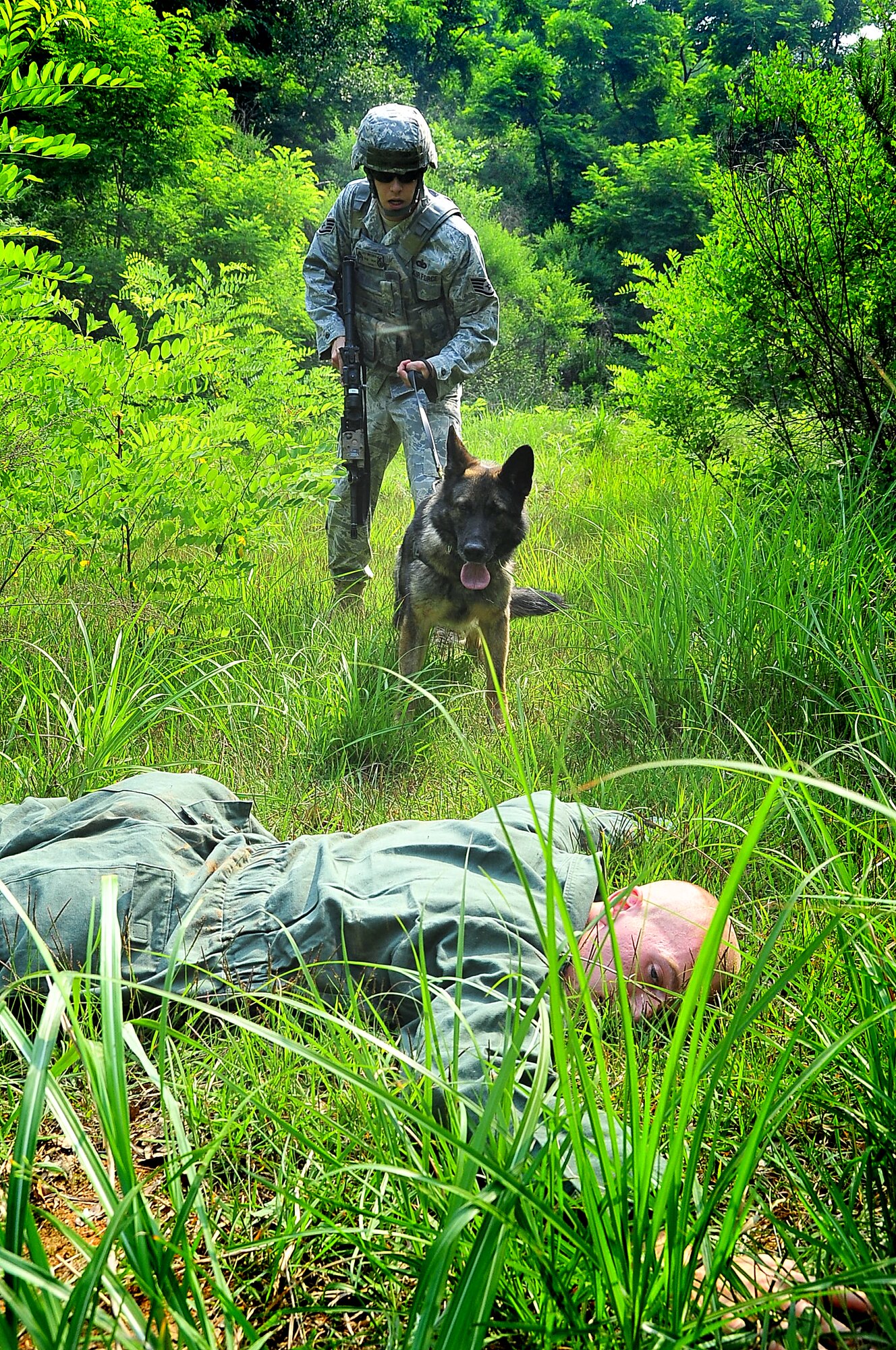 Fanta, a 51st Fighter Wing military working dog, sinks his teeth into a "bad guy" at Osan Air Base, June 20. Military working dogs work closely with their handlers and perform duties that range from drug and explosive detection to patrol. (U.S. Air Force Photo by Staff Sgt. Daylena Gonzalez)