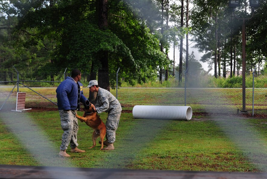 U.S. Air Force Staff Sgt. Aaron Madison and Staff Sgt. Steven Daniel, 820th Combat Operations Squadron military working dog handlers, and Rrozn demonstrate how handlers and MWDs work together at Moody Air Force Base, Ga., June 17, 2011. The demonstration was for 4-year-old Charles Long III who lost his father, Staff Sgt. Charles Long II, to a motorcycle accident in 2007. Sergeant Long was a MWD handler with the 820th COS. (U.S. Air Force photo by Senior Airman Stephanie Mancha/Released)