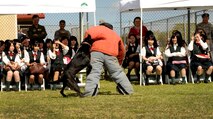 Staff Sgt. Paul Cruz, Military Working Dog handler with the 647th Security Forces Squadron,  performs a demonstration with Aron, MWD,  for high school students from Sendai Japan June 24. The students are from Sendai Ikuei Gakuen High School and are continuing their education in Hawaii while their homes and school are being rebuilt in Sendai, Japan. The students came to Joint Base Pearl Harbor-Hickam to tour the base and meet the C-17 Globemaster III crew who flew to Sendai following the earthquake and tsunami. (U.S. Air Force photo/Senior Airman Lauren Main)