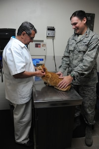Dr. Richard Avery, Randolph Veterinarian Clinic veterinarian, examines Benny's ears. Benny belongs to Maj. Sean Klimer, Air Force Recruiting Service. (U.S. Air Force photo/Airman Alexis Siekert) (released)