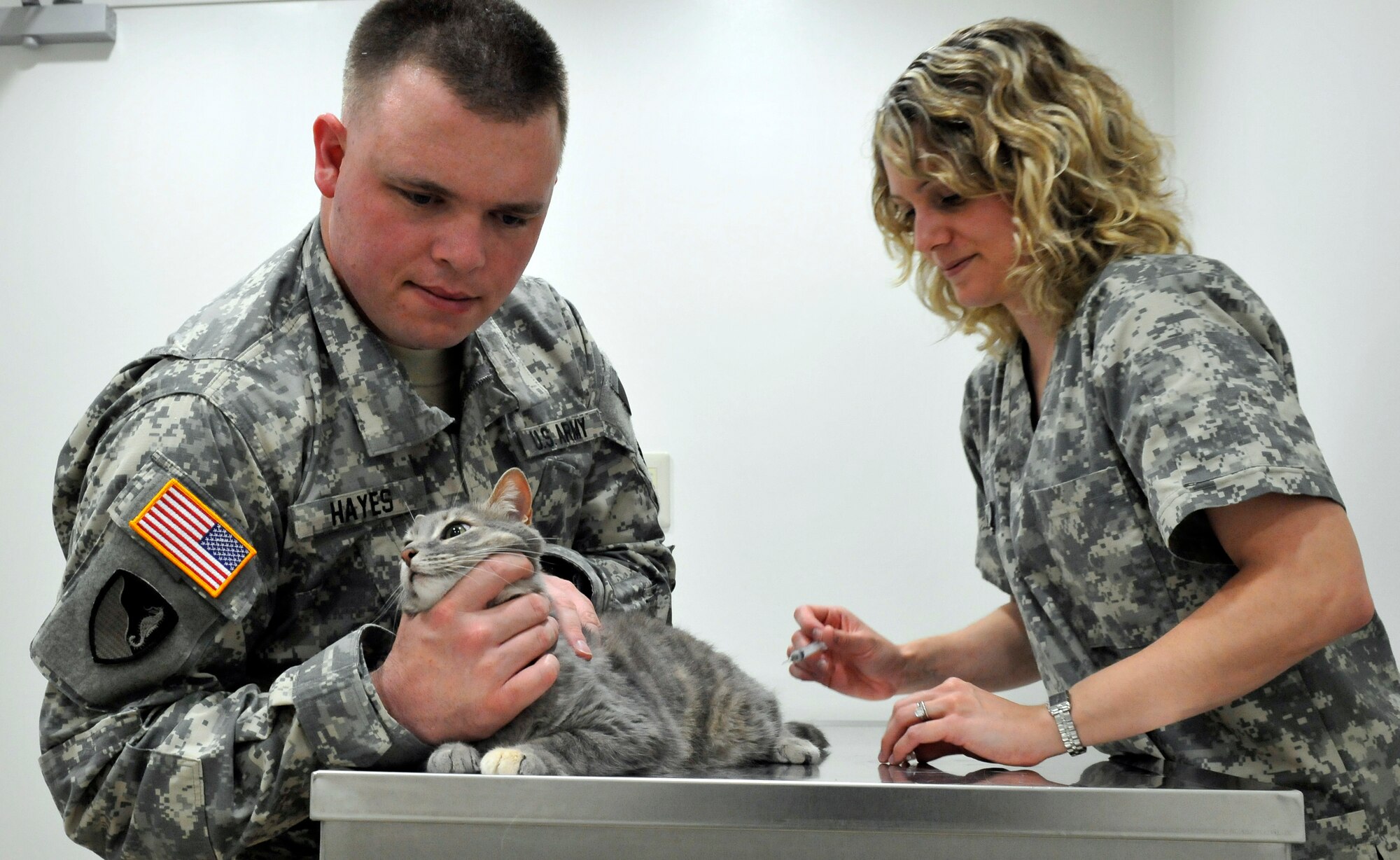 MISAWA AIR BASE, Japan — U.S. Army Spec. Jason Hayes, left, animal care technician, holds a cat as Susan Clark, veterinary technician, wife of Capt. Jeffery Clark, 35th Fighter Wing Legal Office, administers a Feline Leukemia Vaccination June 29. The veterinary clinic reminds base residents that it may take 120 days or longer to process animals prior to a PCS, so start early. (U.S. Air Force photo/Tech. Sgt. Phillip Butterfield)