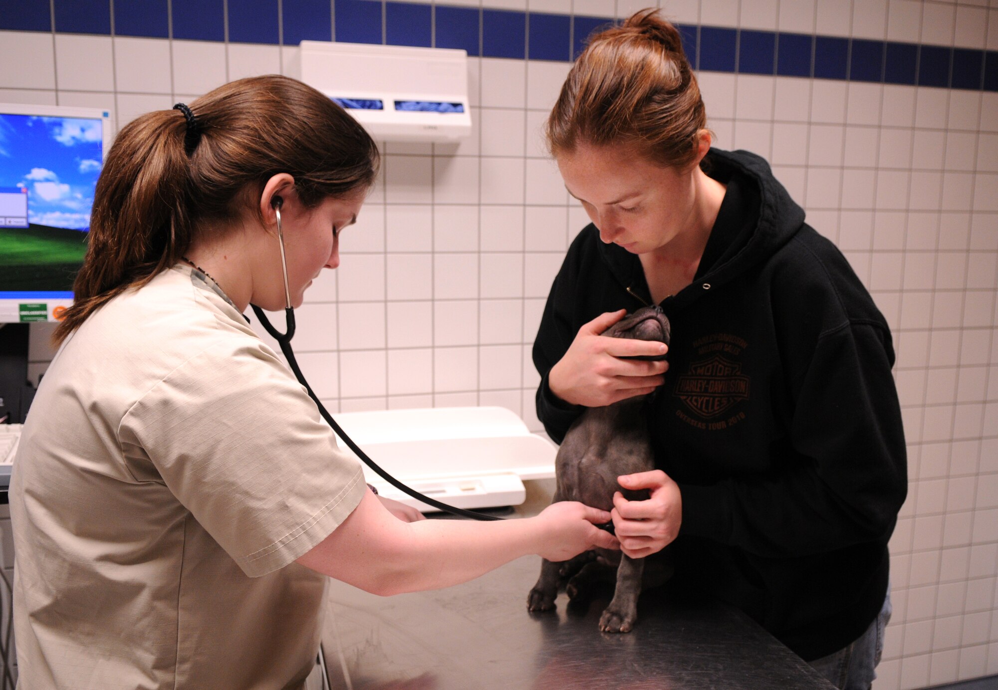 SPANGDAHLEM AIR BASE, Germany – Meaghan Gibson, Spangdahlem Veterinary Clinic veterinary technician, performs a health check-up on Lotus, a 10-week-old Staffordshire bull terrier, as her owner, Staff Sgt. Meagan Mitchell, 52nd Aircraft Maintenance Squadron, holds her at the vaccine clinic here Feb. 26. The Spangdahlem Veterinary Clinic hosted the vaccine clinic to help Sabers keep their pets healthy. The veterinary clinic’s primary mission is to provide treatment for military working dogs on base, but they treat pets on a limited basis. (U.S. Air Force photo/Senior Airman Nathanael Callon)