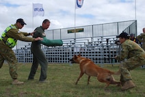 Col. Seth Bretscher assists the Royal Australian Air Force's security team by taking a bite from Rex, a Belgian Malinois member of the K-9 team, as handler RAAF  Leading Aircraft Woman Cheryl Chaffey holds him back during the Avalon 2011 Australian International Airshow in Geelong, Australia, March 3, 2011. Colonel Bretscher is the Vice Commander of the 613th Air and Space Operations Center at Joint Base Pearl Harbor-Hickam, Hawaii, and is serving as the Air Force mission commander during the event. A variety of Air Force aircraft are displayed at the air show and some aerial performances are also included. Through participating in air shows and other regional events, the United States demonstrates its commitment to the security of the Asia-Pacific region, promotes the standardization and interoperability of equipment, and displays capabilities critical to the success of current and future military operations. (U.S. Air Force photo/Staff Sgt. LuCelia Ball)