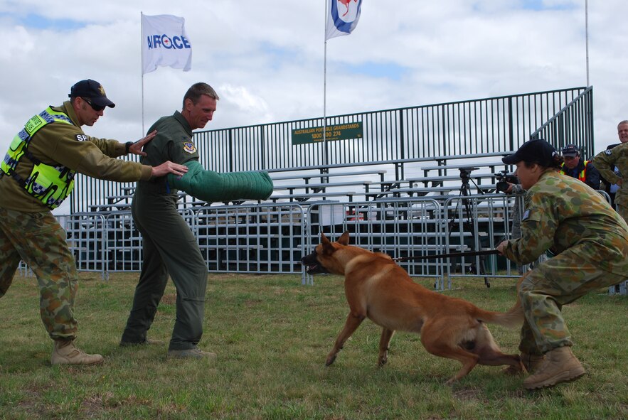 Col. Seth Bretscher assists the Royal Australian Air Force's security team by taking a bite from Rex, a Belgian Malinois member of the K-9 team, as handler RAAF  Leading Aircraft Woman Cheryl Chaffey holds him back during the Avalon 2011 Australian International Airshow in Geelong, Australia, March 3, 2011. Colonel Bretscher is the Vice Commander of the 613th Air and Space Operations Center at Joint Base Pearl Harbor-Hickam, Hawaii, and is serving as the Air Force mission commander during the event. A variety of Air Force aircraft are displayed at the air show and some aerial performances are also included. Through participating in air shows and other regional events, the United States demonstrates its commitment to the security of the Asia-Pacific region, promotes the standardization and interoperability of equipment, and displays capabilities critical to the success of current and future military operations. (U.S. Air Force photo/Staff Sgt. LuCelia Ball)