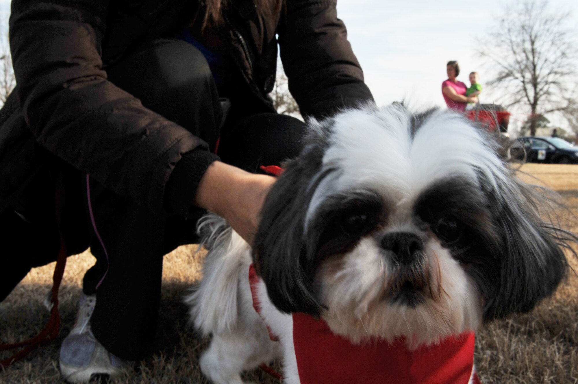 Julian Pecson and her dog, Mango, play during the grand opening of the Uran Memorial Dog Park at Little Rock Air Force Base, Ark., March, 3, 2011. The park is dedicated and named for fallen 19th Security Forces Squadron Military Working Dog Uran, a veteran of five deployments in support of Operations Iraqi Freedom and Enduring Freedom. (U.S. Air Force photo by Airman 1st Class Rusty Frank)
