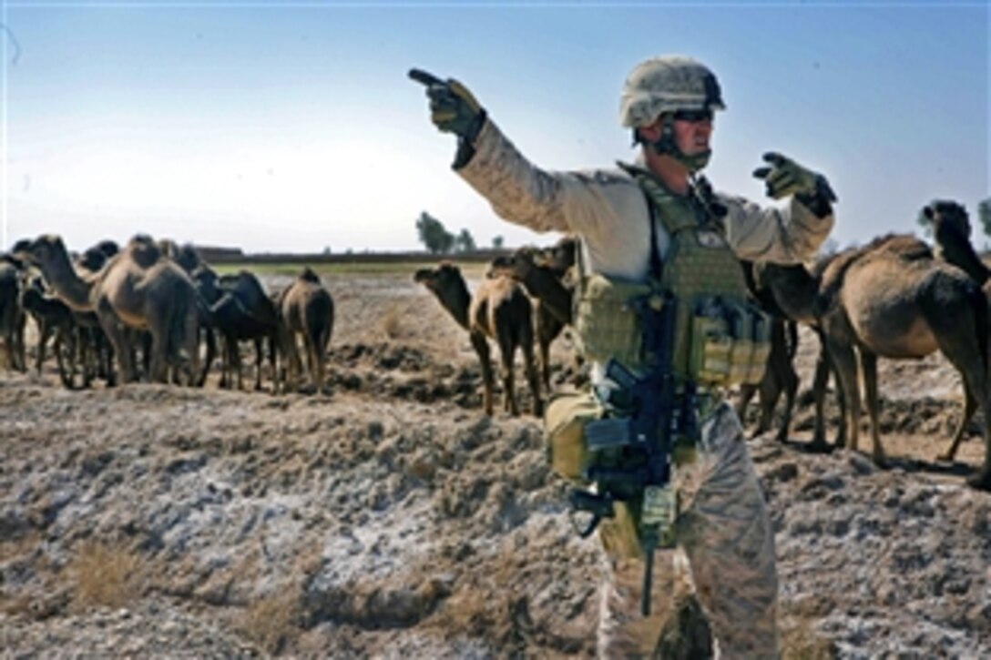 U.S. Marine Corps 1st Lt. Gregory A. Cummings guides vehicles on a narrow road during an equipment recovery mission in Trek Nawa, Afghanistan, Feb. 25, 2011. Cummings is assigned to the General Support Security Platoon, Headquarters and Service Company, Combat Logistics Battalion 3, 1st Marine Logistics Group, Forward.