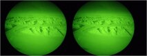 A view of Antarctica through the eyes of a pair of C-17 Globemaster III Night Vision Goggles at McMurdo Station, Antarctica, as part of Operation Deep Freeze 2010-2011. ODF is the U.S. military's operational and logistic support of the NSF's scientific research activities in Antarctica.  (U.S. Air Force photo/ Lt. Col. Robert Wellington)

