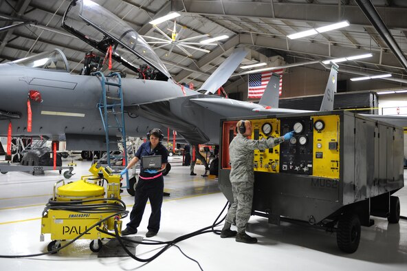 Senior Airman Malia Ortiz, electronic/environmental specialist, reviews her technical order, while Airman 1st Class Scott Bennett, Aircraft Maintenance Squadron crew chief, keeps a keen eye on the gauges, during the use of the Hydraulic Fluid Purification system on a F-15E Strike Eagle at Seymour-Johnson AFB, N.C., Feb. 25, 2011. The HFP acts like a dialysis machine for the hydraulic fluid that is pushed to the aircraft.  Both Airmen are with the  4th Aircraft Maintenance Squadron.    (U.S. Air Force photo/Staff Sgt. Courtney Richardson) 