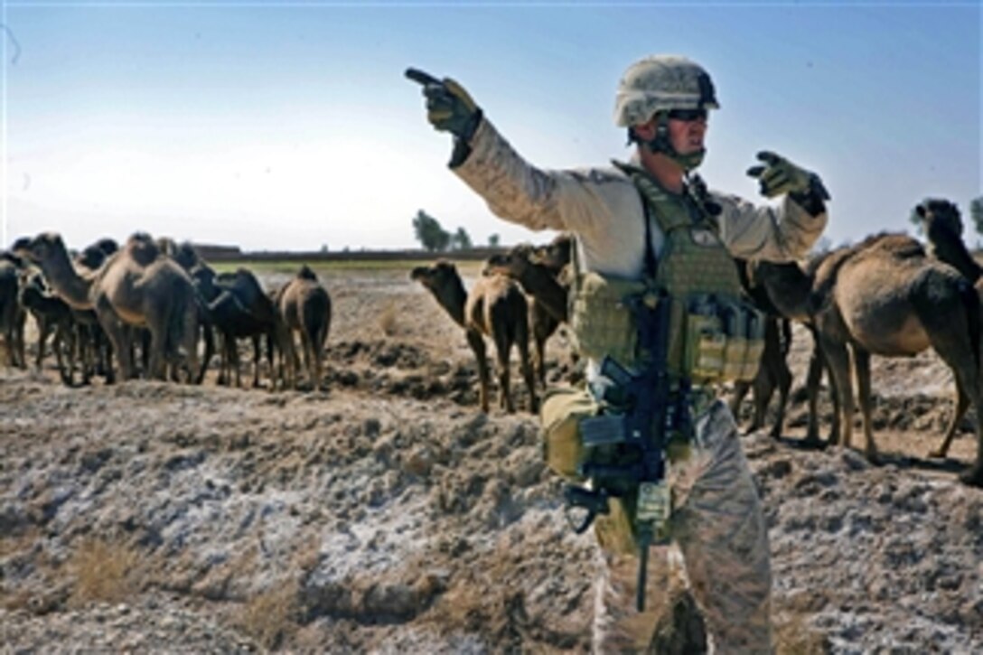 U.S. Marine 1st Lt. Gregory A. Cummings guides vehicles on a narrow road during an equipment recovery mission in Trek Nawa, Afghanistan, on Feb. 25, 2011.  Cummings is assigned to the General Support Security Platoon, Headquarters and Service Company, Combat Logistics Battalion 3, 1st Marine Logistics Group, Forward.  