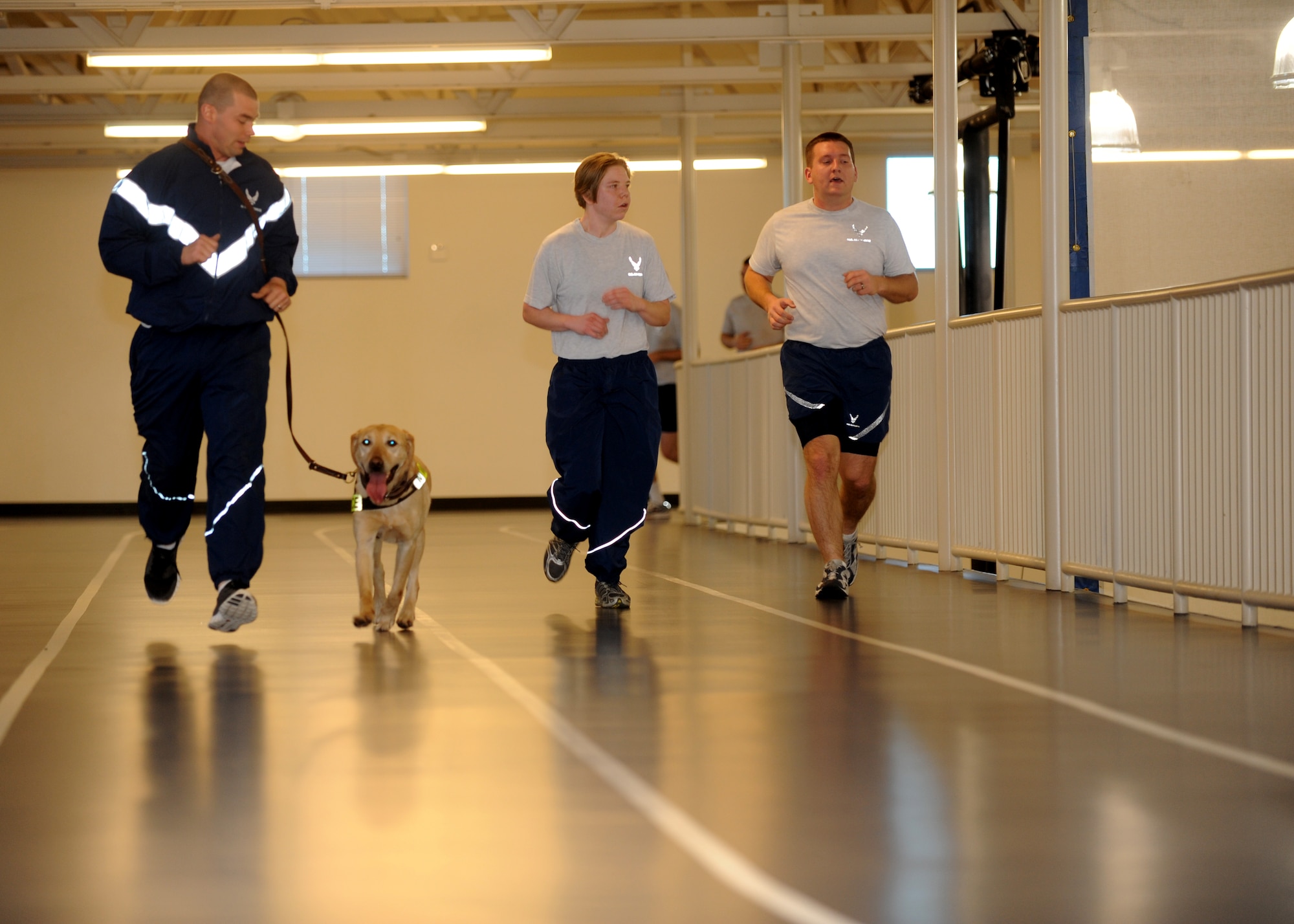 Buckley Air Force Base, Colo.- Staff Sergeant David Duritsky and Pier, 460th Security Forces squadron,run laps around the inddor track at the fitness center Mar 2, 2011. The new fitness program for military working dogs gives the K-9's and their human partners time to train together.  ( U.S. Air Force Photo by Airman 1st Class Marcy Glass )
