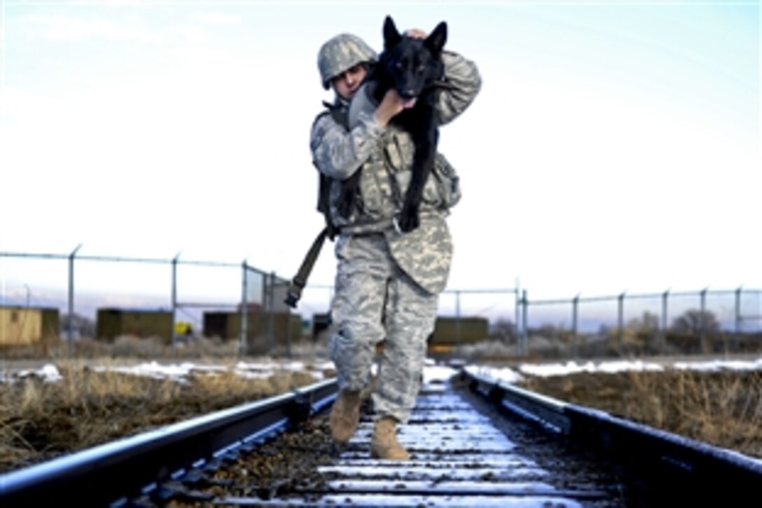 U.S. Air Force Staff Sgt. Erick Martinez, a military dog handler, carries Argo II over his shoulder on Hill Air Force Base, Utah, March 4, 2011. This training exercise was crucial to build trust, loyalty and teamwork between Martinez and Argo, who had been working together for only two months.