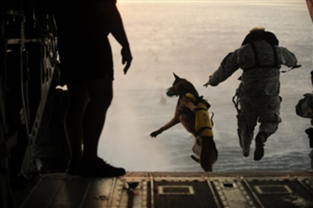 A U.S. Army soldier with the 10th Special Forces Group and his military working dog jump off the ramp of a CH-47 Chinook helicopter from the 160th Special Operations Aviation Regiment during water training over the Gulf of Mexico as part of exercise Emerald Warrior 2011 on March 1, 2011.  Emerald Warrior is an annual two-week joint/combined tactical exercise sponsored by U.S. Special Operations Command designed to leverage lessons learned from operations Iraqi and Enduring Freedom to provide trained and ready forces to combatant commanders.  