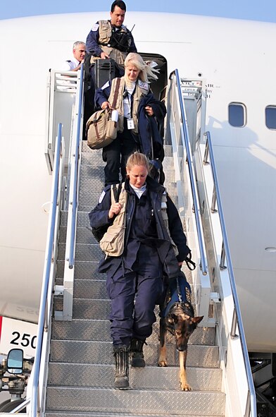 MISAWA AIR BASE, Japan -- United States Agency for International Development search and rescue dogs along with their handlers arrive Mar. 13. Search and rescue teams from the Los Angeles County Fire Department, Calif. and Fairfax County, Va. responded to help with civil relief and rescue operations in the Miyagi Prefecture, Japan.  (U.S. Air Force photo by Staff Sgt. Marie Brown\Released)
