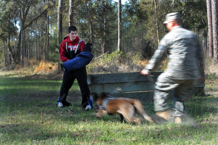 MOODY AIR FORCE BASE, Ga. -- Andrew Yorkey, Lowndes High School JROTC member, plants his feet as he prepares to absorb a bite from military working dog Kelly March. 15. Mr. Yorkey, along with 5 other LHS JROTC members, spent the day learning about an Air Force career field of their choice. (U.S. Air Force photo/Airman 1st Class Douglas Ellis)(RELEASED)
