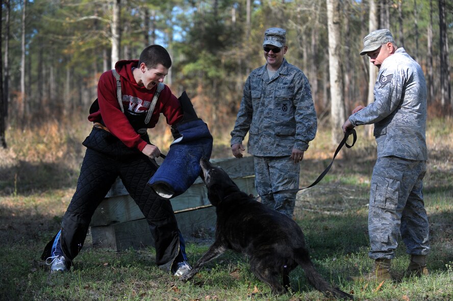 MOODY AIR FORCE BASE, Ga. -- Members of the 820th Combat Operations Squadron watch as Andrew Yorkey, Lowndes High School JROTC member, absorbs a bite from military working dog Dutchy March. 15. As part of a field trip, Mr. Yorkey spent the day learning about the Air Force military working dog career field. (U.S. Air Force photo/Airman 1st Class Douglas Ellis)(RELEASED)
