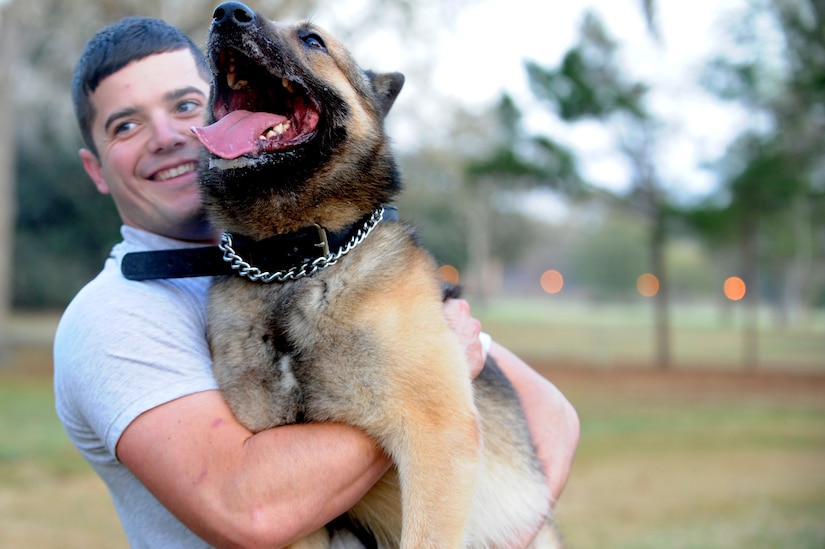 Looks can be deceiving. Although Elmo is a happy dog after his morning workout, he is a highly trained asset to the security forces on Joint Base Charleston. (U.S. Air Force photo/NIcole Mickle)