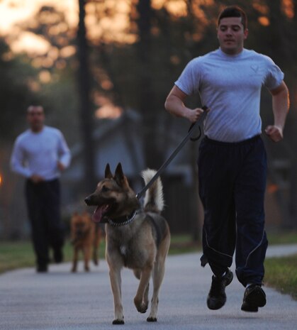 Senior Airman Joel Patterson and  Elmo take a jog around McCombs way during physical training March 14 on Joint Base Charleston Air Base.  (U.S. Air Force photo/ Staff Sgt. Nicole Mickle)