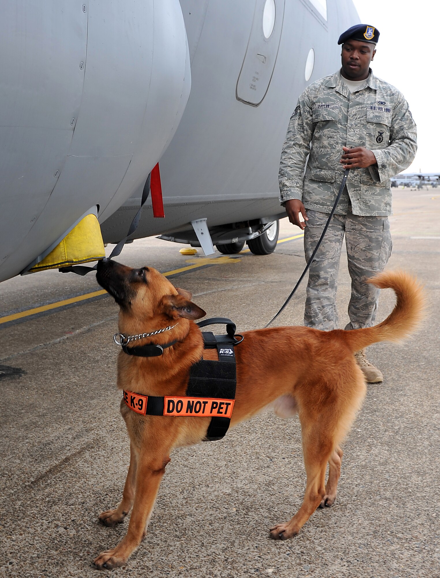 Staff Sgt. RoDerick Taylor, 19th Security Forces Squadron military working dog handler, and Ricsi, a dual purpose military working dog, respond to a bomb detection scenario on the flightline March 02, 2011 at Little Rock Air Force Base, Ark.  Sergeant Taylor and Risci are capable of going from normal patrol duty to explosion detection by keeping current with intense daily training.  (U.S. Air Force photo by Airman 1st Class Rusty Frank)