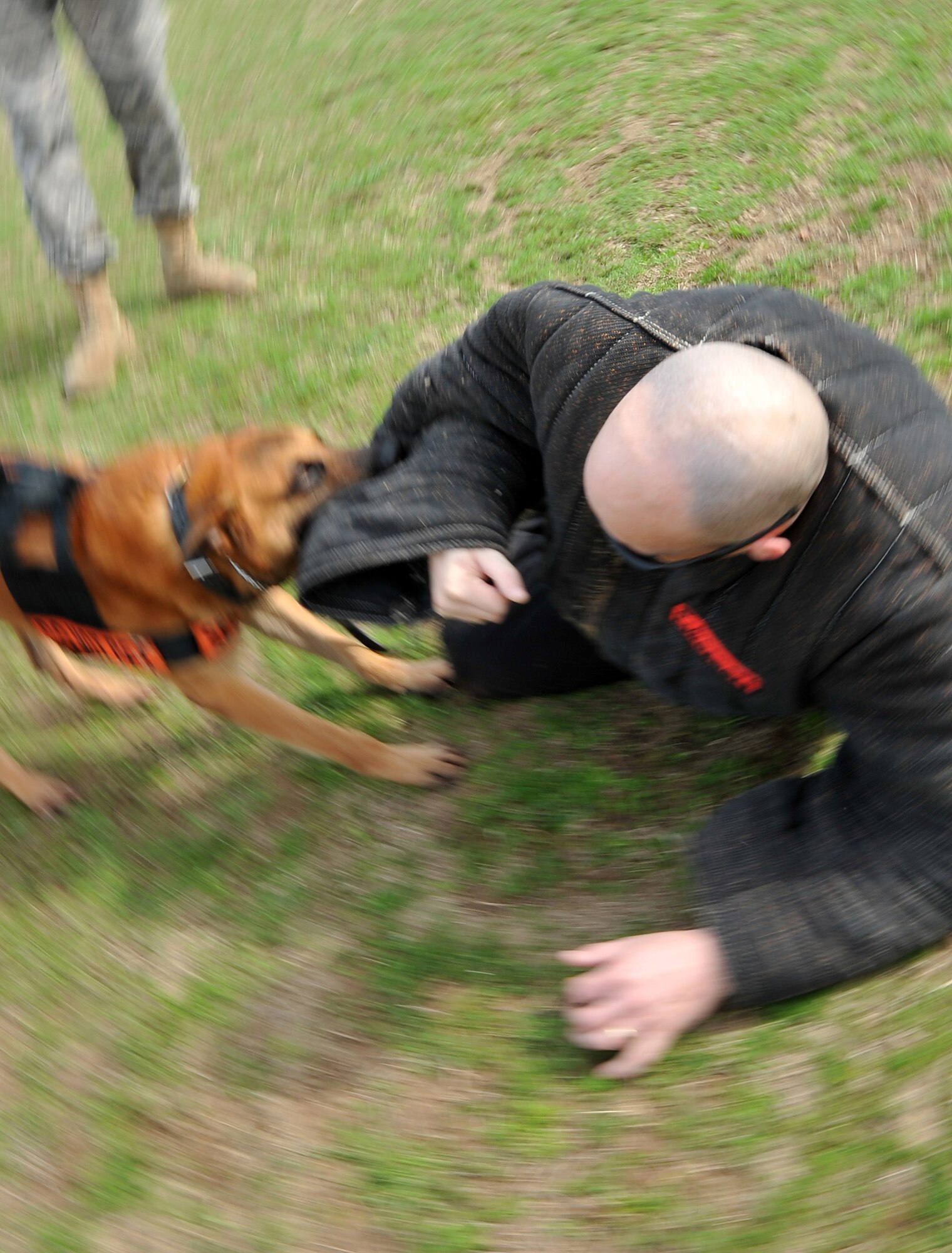 Tech. Sgt. Keith Kitchin, a 19th Security Forces Squadron kennel master, is attacked by Ricsi, a 19th SFS military working dog, during a working dog demonstration of an attacking aggressor March 2, 2011, at Little Rock Air Force Base, Ark. 19th SFS working dogs are trained for explosive detection and patrol duty. (U.S. Air Force photo by Airman 1st Class Rusty Frank)