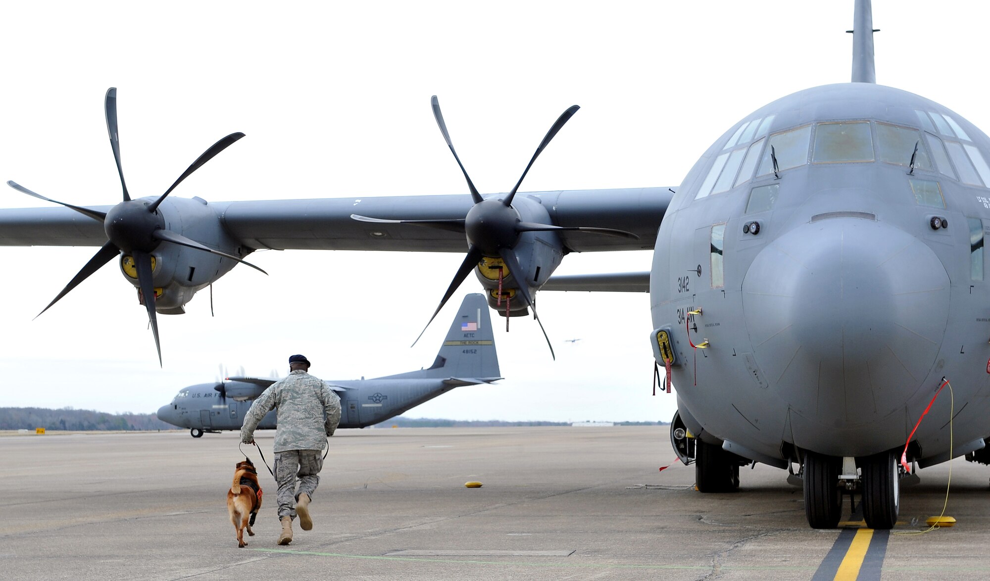 Staff Sgt. RoDerick Taylor, 19th Security Forces Squadron military working dog handler, and Ricsi, a dual-purpose military working dog, respond to a bomb detection scenario on the flightline March 02, 2011, at Little Rock Air Force Base, Ark.  Sergeant Taylor and Risci are capable of going from normal patrol duty to explosion detection by keeping current with intense daily training.  (U.S. Air Force photo by Staff Sgt. Chris Willis) 