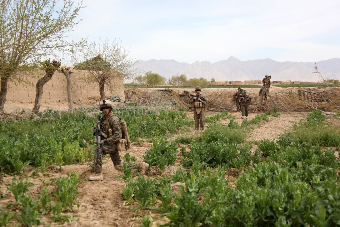 U.S. Marines with 2nd Platoon, Company I, Battalion Landing Team 3/8, Regimental Combat Team 8, conduct a security patrol west of the Nahr-e Saraj canal in Helmand province's Green Zone, Afghanistan, March 21, 2011. Elements of 26th Marine Expeditionary Unit deployed to Afghanistan to provide regional security in Helmand province in support of the International Security Assistance Force.