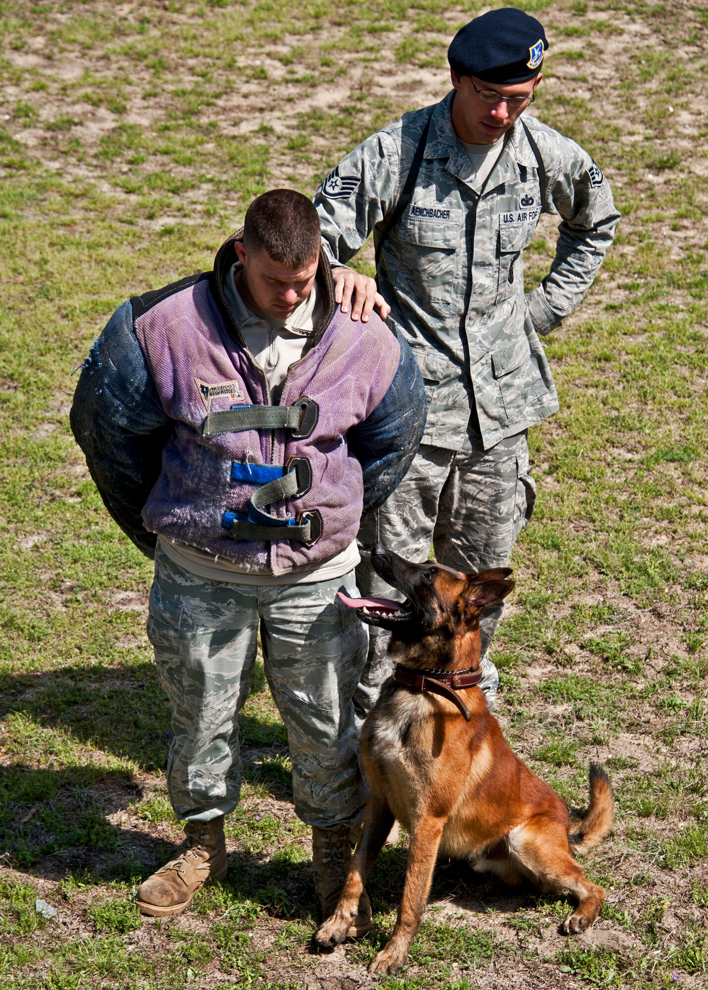 Rex, a 96th Security Forces military working dog, keeps an eye on a "suspect" during a search training demo at Eglin Air Force Base, Fla.  Rex and his handler, Staff Sgt. David Aenchbacher, are just one of the K-9 teams at Eglin.  Eglin’s military working dog teams are expected to maintain training, perform vehicle searches, patrols, building sweeps, dorm checks and demonstrations.   They also help local law enforcement with further K-9 training both at Eglin and outside the gate.   (U.S. Air Force photo/Samuel King Jr.)