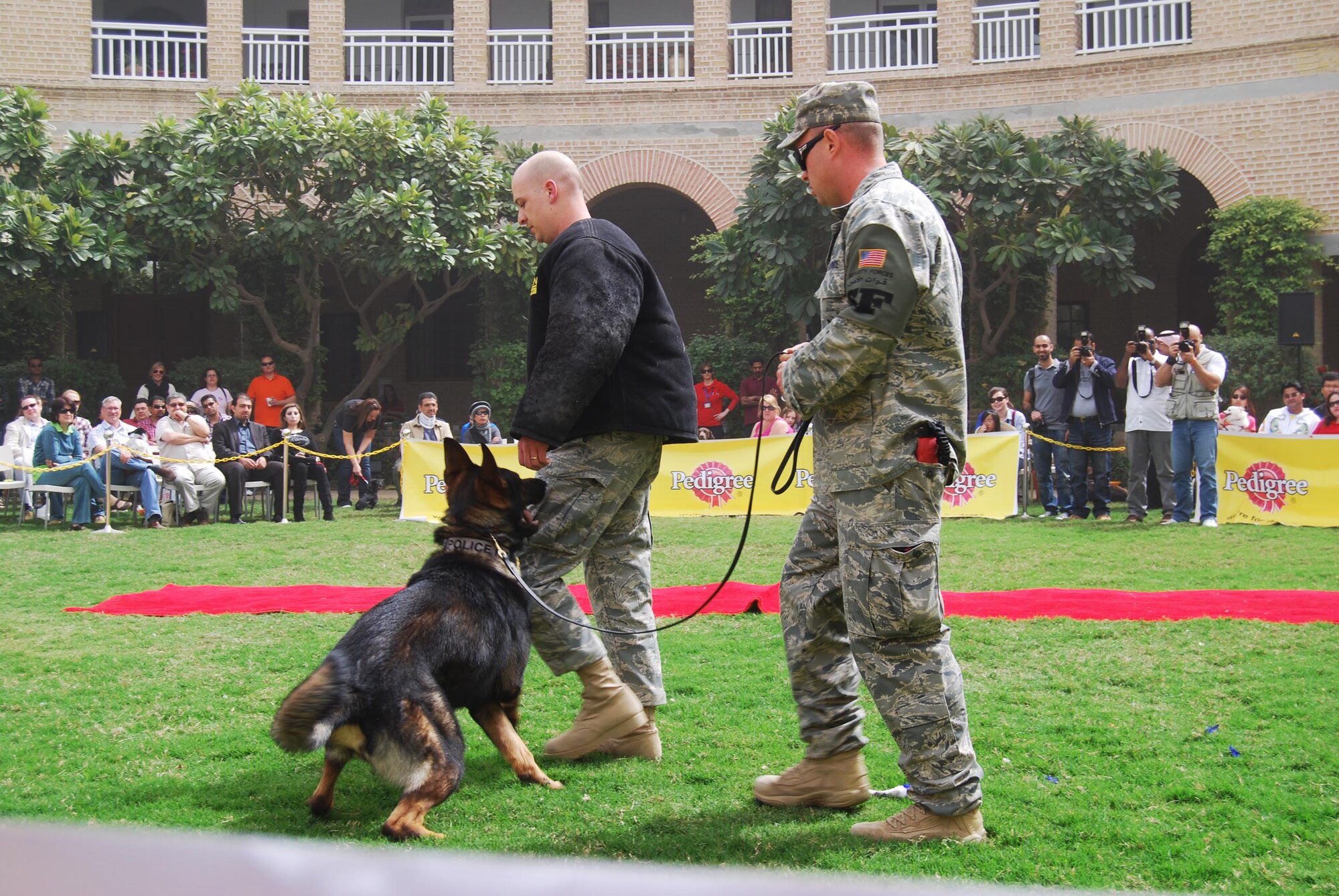 Staff Sgt. Kyle Alltop, a military working dog handler with the 386th Expeditionary Security Forces Squadron, and Military Working Dog Chrach (pronounced Crash), escorts a "suspect" during a military working dog demonstration at the 6th Annual Paws for the Cause Dog Show March 4 at the British Embassy Gardens in Southwest Asia. (Photo courtesy of PAWS)
