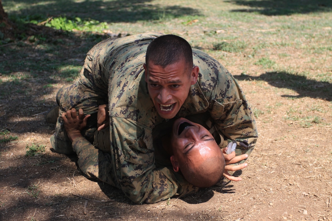Sgt. Josenrique Rocha, Marine All-Weather Fighter Attack Squadron 533 training chief, motivates his students give their all while wrestling Cpl. Gabriel Trevino, Marine All-Weather Fighter Attack Squadron 533 aviation ordnance technician, during the Marine Corps Martial Arts Program brown belt course station rotation drill here March 25.