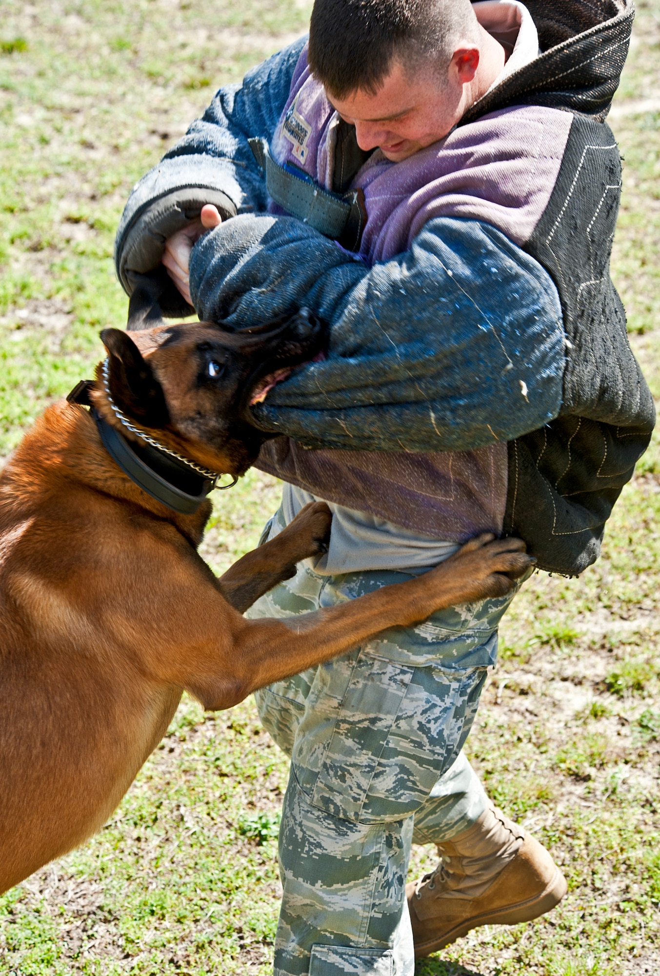 Arko, a 96th Security Forces military working dog, locks on to his “target” during a bite exercise at the Eglin kennel.  Arko and his handler, Staff Sgt. Sean Jenkins, are just one of the K-9 teams at Eglin.  Eglin’s military working dog teams are expected to maintain training, perform vehicle searches, patrols, building sweeps, dorm checks and demonstrations.   They also help local law enforcement with further K-9 training both at Eglin and outside the gate.   (U.S. Air Force photo/Samuel King Jr.)