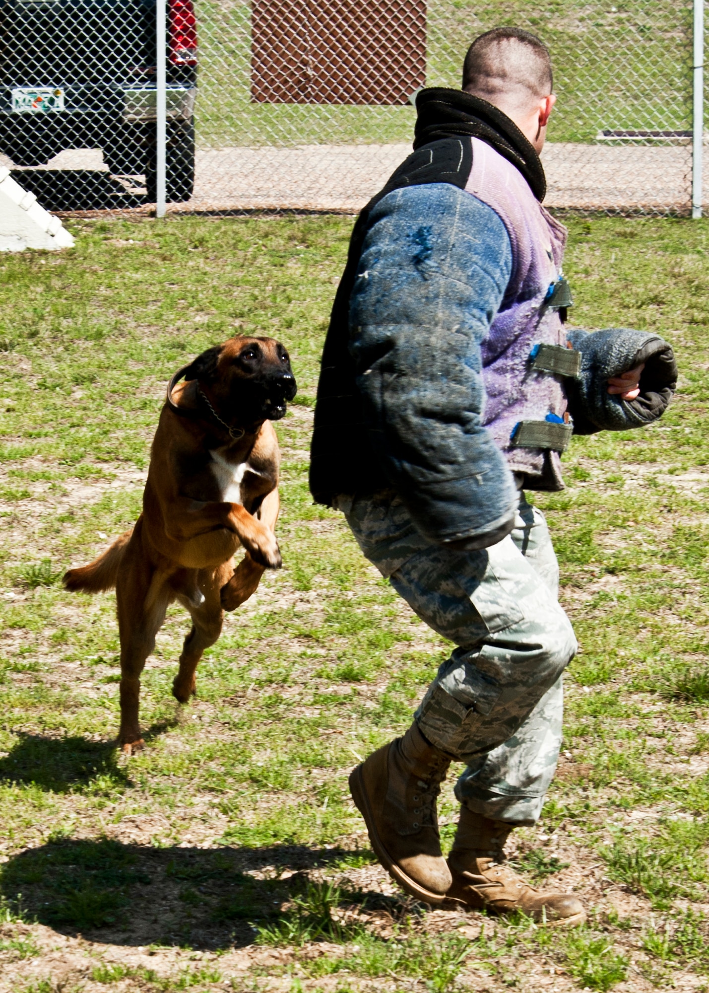 Arko, a 96th Security Forces military working dog, leaps toward his target, Staff Sgt. Brandon Hardy, during a bite exercise at the Eglin kennel.  Arko and his handler, Staff Sgt. Sean Jenkins, are just one of the K-9 teams at Eglin.  Eglin’s military working dog teams are expected to maintain training, perform vehicle searches, patrols, building sweeps, dorm checks and demonstrations.   They also help local law enforcement with further K-9 training both at Eglin and outside the gate.   (U.S. Air Force photo/Samuel King Jr.)