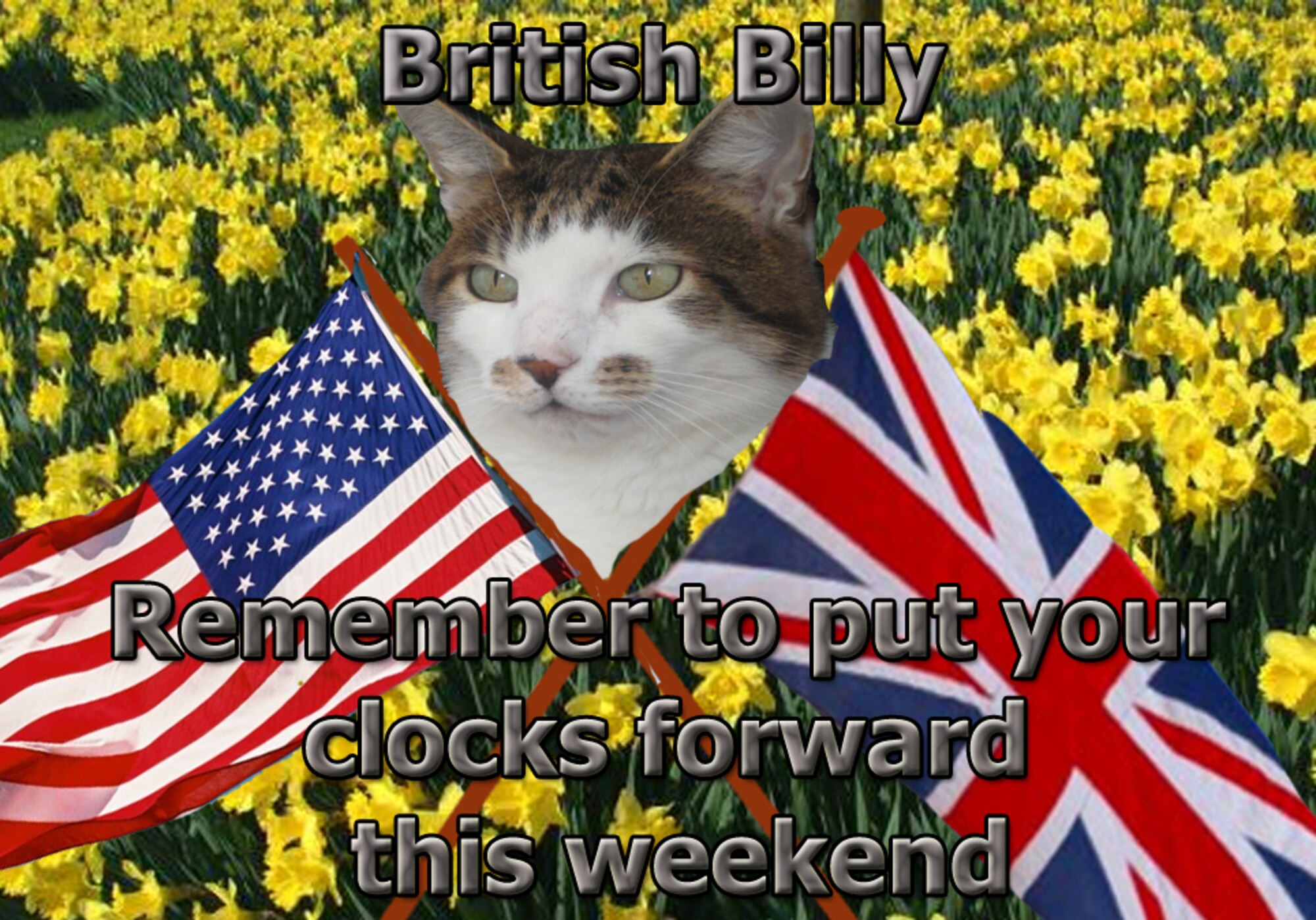 In all the excitement, don’t forget to set your clocks forward by one hour March 27, officially the start of British Summer Time. We may be losing an hour, but with extra daylight in the evenings and a long summer ahead, there’s plenty to look forward to after the clocks change. Ask Billy about the things puzzling about about life and culture in the U.K., and if he doesn’t know the answer, he has ways and means of finding out. Feel free to send him any questions, and when he isn’t sleeping or hunting, he’ll try and put a few thoughts together to help you out. 
