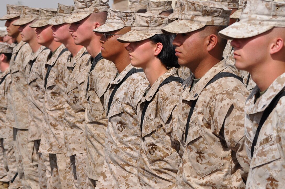 Marines stand in formation during a transfer of authority ceremony on Camp Leatherneck, March 26. Maj. Gen. John Toolan, commanding general of II Marine Expeditionary Force (Forward) assumed command of Regional Command Southwest from Maj. Gen. Richard P. Mills, commanding general of I MEF (Fwd).