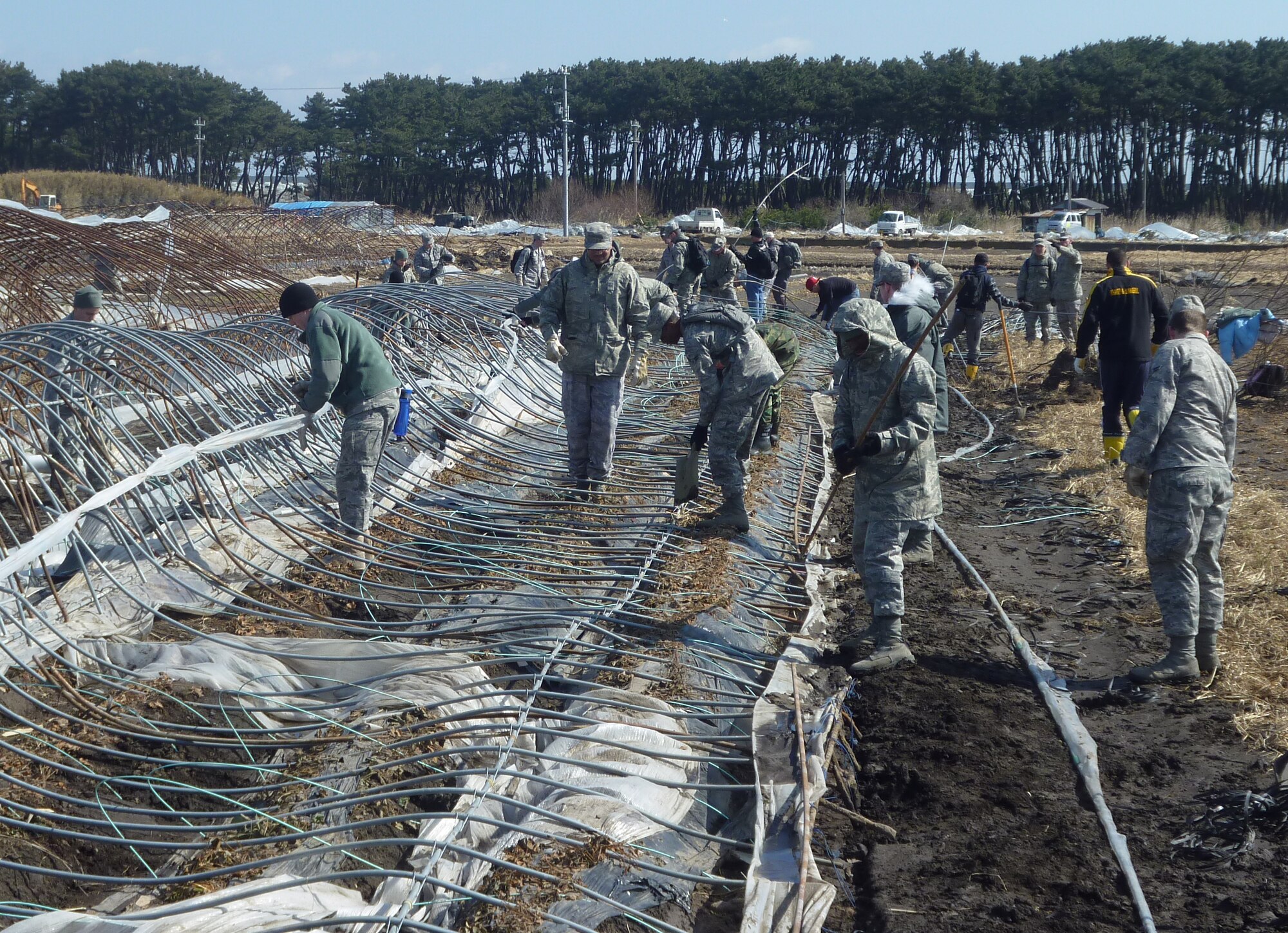 MISAWA AIR BASE, Japan – Have you done it? 144 Airmen from Misawa AB “did it” by helping local farmers at two strawberry farms in Hachinohe March 28.  The fields contained greenhouses to protect the crops from the harsh winter environment and were flattened by the tsunami March 11.  Workers removed the plastic and metal frame from each greenhouse and stacked the frame pieces and plastic for trucks to pick up for recycling.  Attendance on this workday proved to be the highest number to date since the “Misawa Helps” volunteer effort kicked off.  (U.S. Air Force photo by Maj. Christopher Schumann/Released)