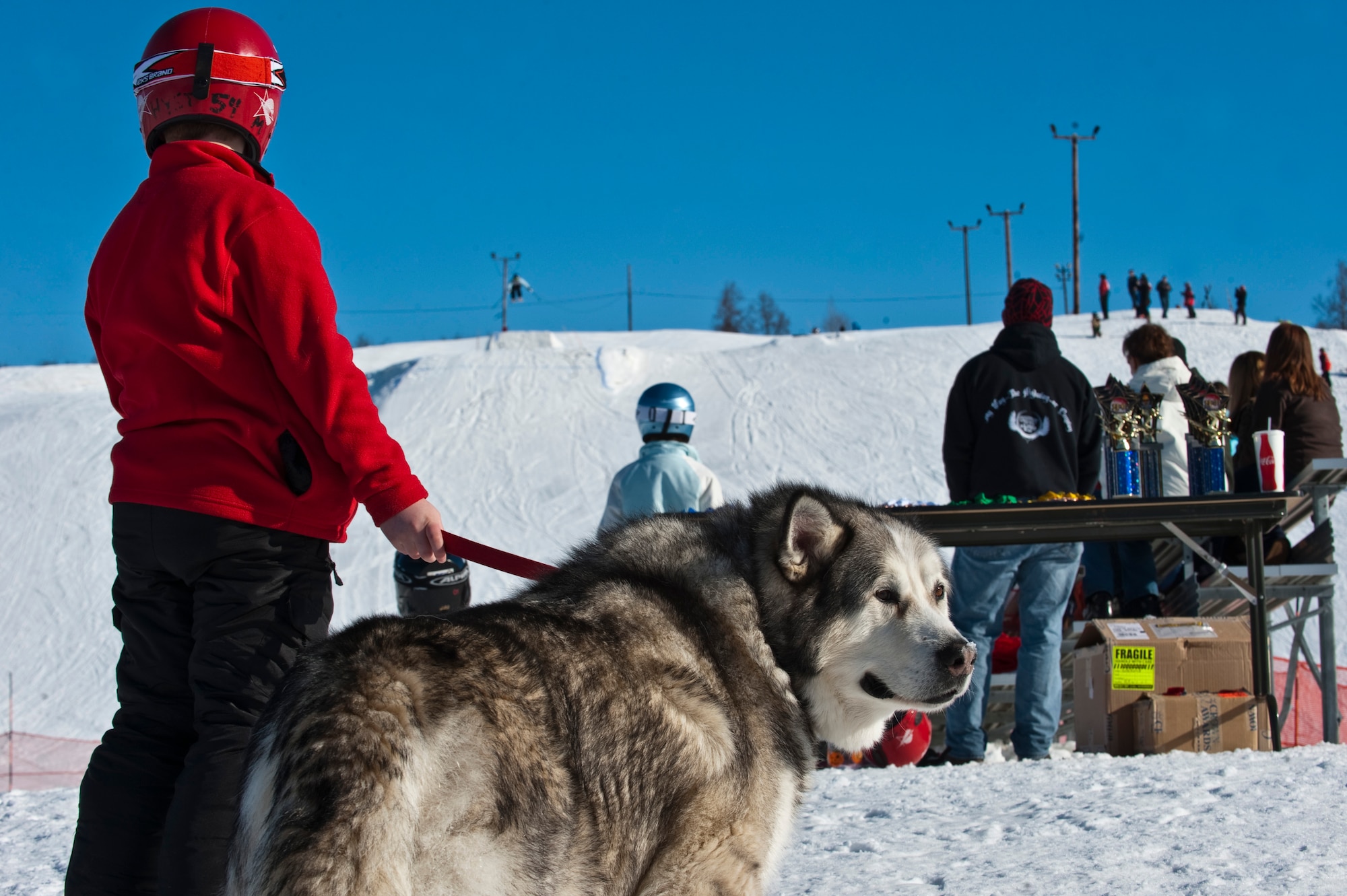 JOINT BASE ELMENDORF-RICHARDSON, Alaska -- Jacob Harris and dog Bode watch as a contestant makes their way down the hill during the Hillberg's Annual Melt Down Big Air Competition March 26. During the last few days of the season, various competitions such as the big air competition and annual "Slush Cup" were held. (U.S. Air Force photo by Senior Airman Christopher Gross)