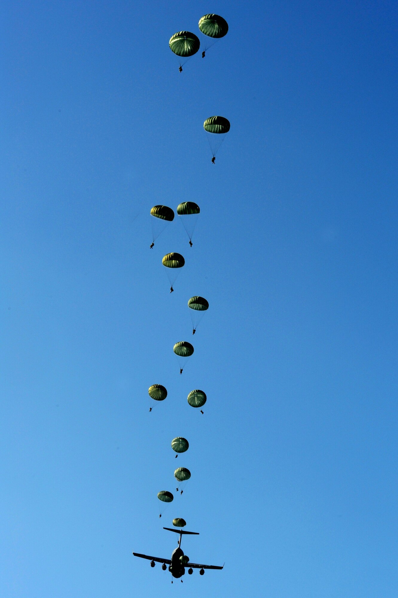 Airmen from the 8th Air Support Operations Squadron conduct combat jump operations from a C-17 Globemaster III during a joint coalition training exercise March 23. More than 1,400 personnel from the 173rd Airborne Brigade Combat Team, the 8th ASOS and Italian Army Paratroopers participated in the weeklong event.(U.S. Air Force photo/ Staff Sgt. Nadine Y. Barclay)