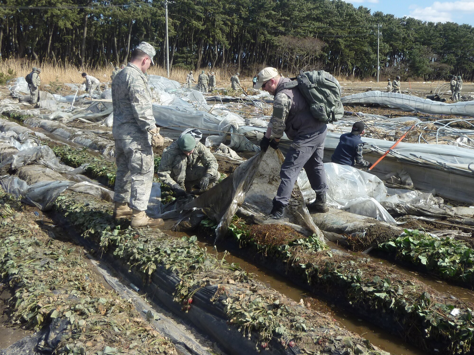 MISAWA AIR BASE, Japan – Have you done it?  144 Airmen from Misawa AB “did it” by helping local farmers at two strawberry farms in Hachinohe March 28.  The fields contained greenhouses to protect the crops from the harsh winter environment and were flattened by the tsunami March 11.  Workers removed the plastic and metal frame from each greenhouse and stacked the frame pieces and plastic for trucks to pick up for recycling.  Attendance on this workday proved to be the highest number to date since the “Misawa Helps” volunteer effort kicked off.  (U.S. Air Force photo by Maj. Christopher Schumann/Released)