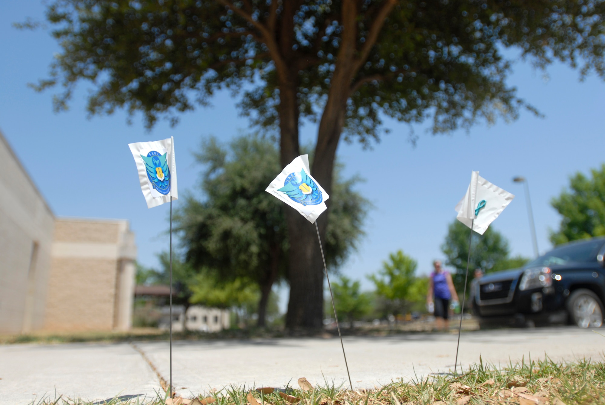 GOODFELLOW AIR FORCE BASE, Texas— Flags were inserted into the ground in front of the Event Center every two minutes during the SARC Challenge April 30. Each flag represents a new victim of sexual assault. (U.S. Air Force photo/Airman 1st Class Jessica Keith)
