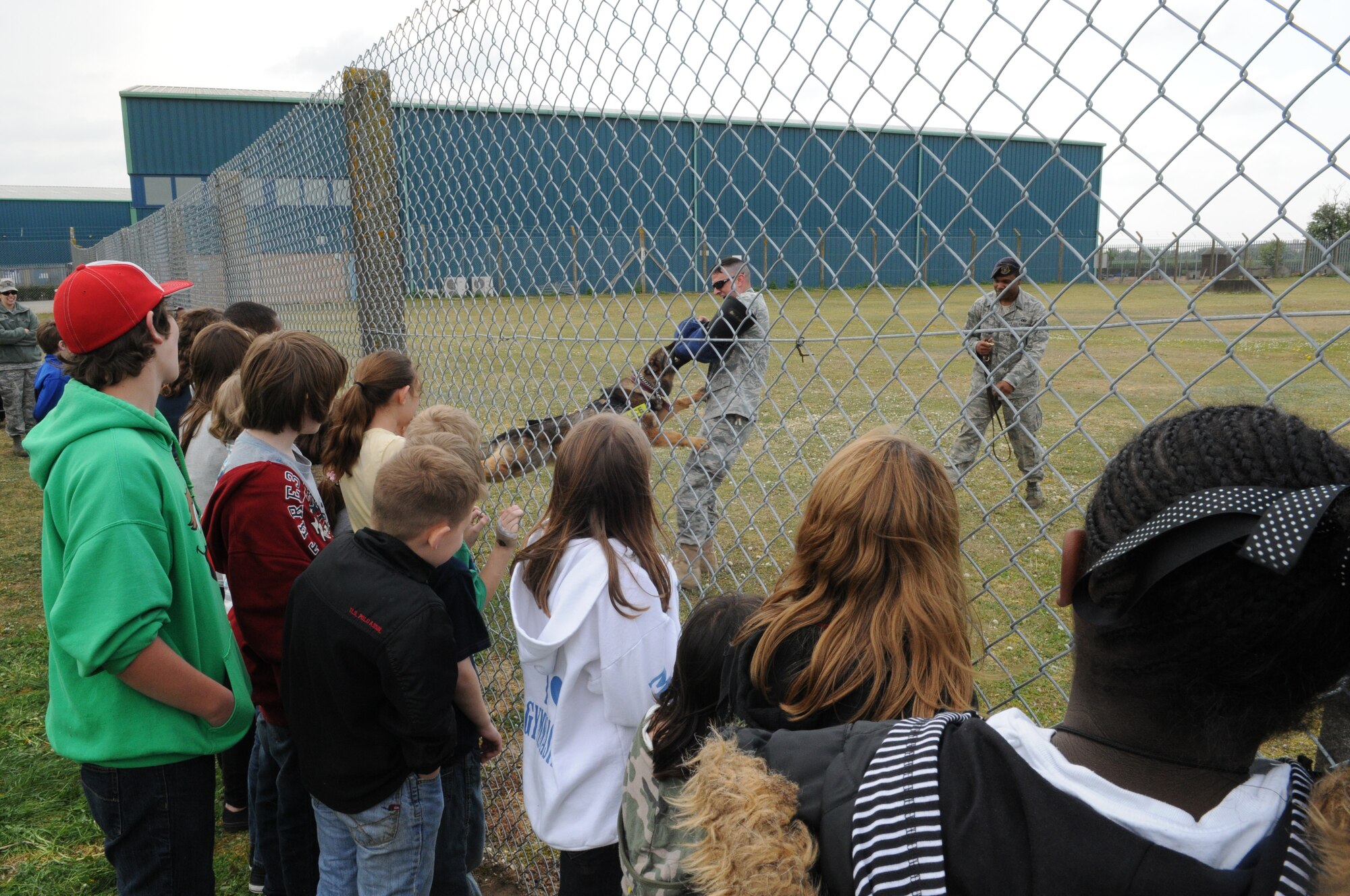 RAF MILDENHALL, England -- Children participating in RAF Mildenhall's Job Shadow Day here watch a military working dog demonstration April 28, 2011. Children of base workers visited locations throughout the base to learn about different career fields. (U.S. Air Force photo/Staff Sgt. Thomas Trower)